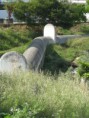 /album/galeria-de-fotos-retrato-ambiental-de-loures/fig-b-1-canal-alviela-geral-s-j-talha-jpg/